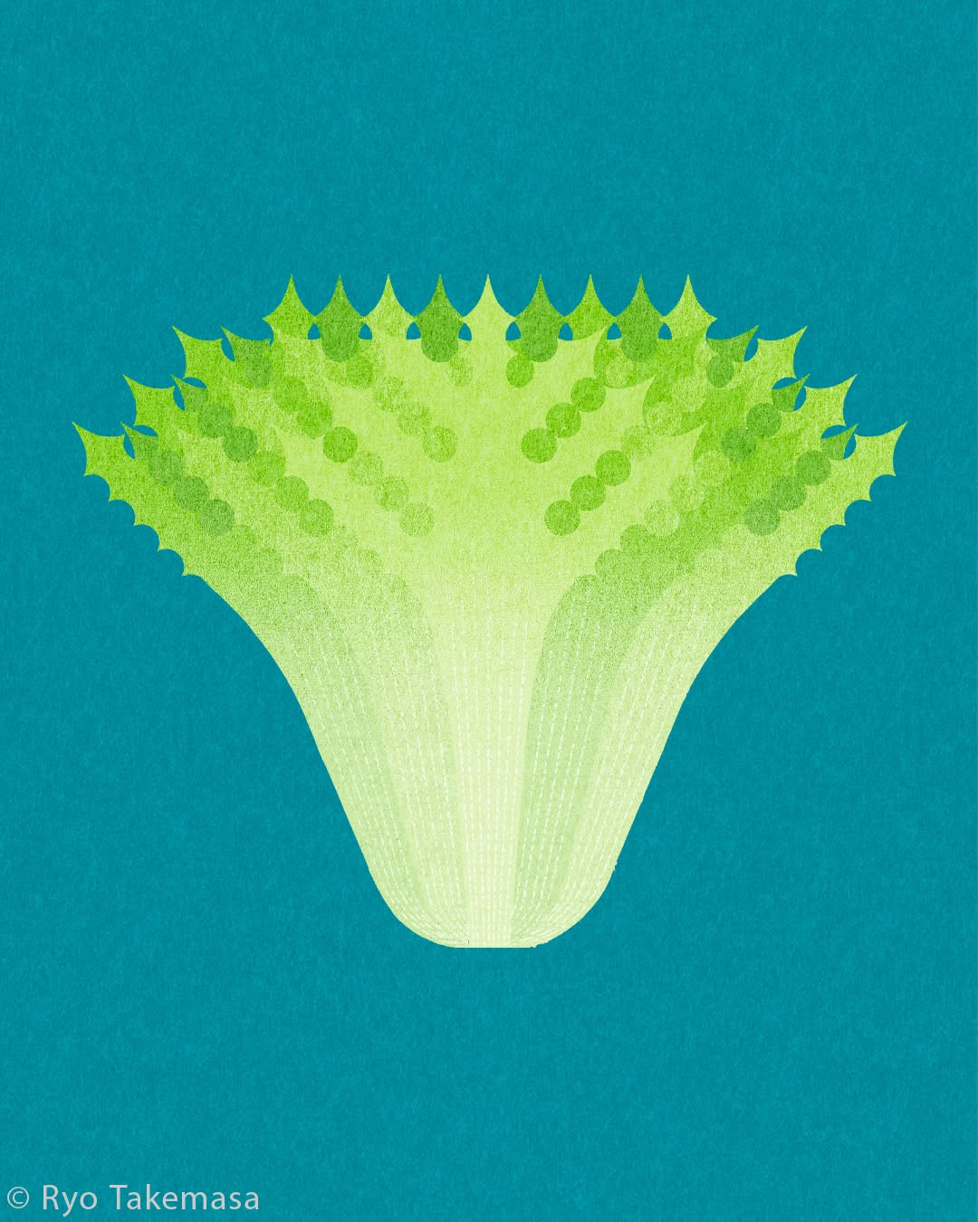 Vegetables & Fruits illustration 14
