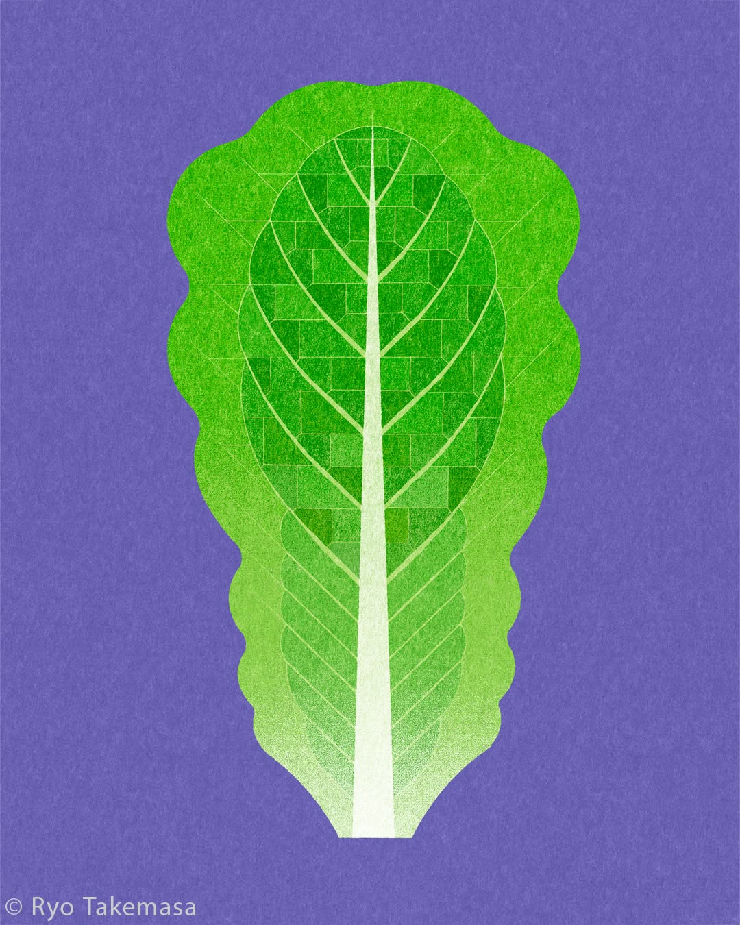 Vegetables & Fruits illustration 16