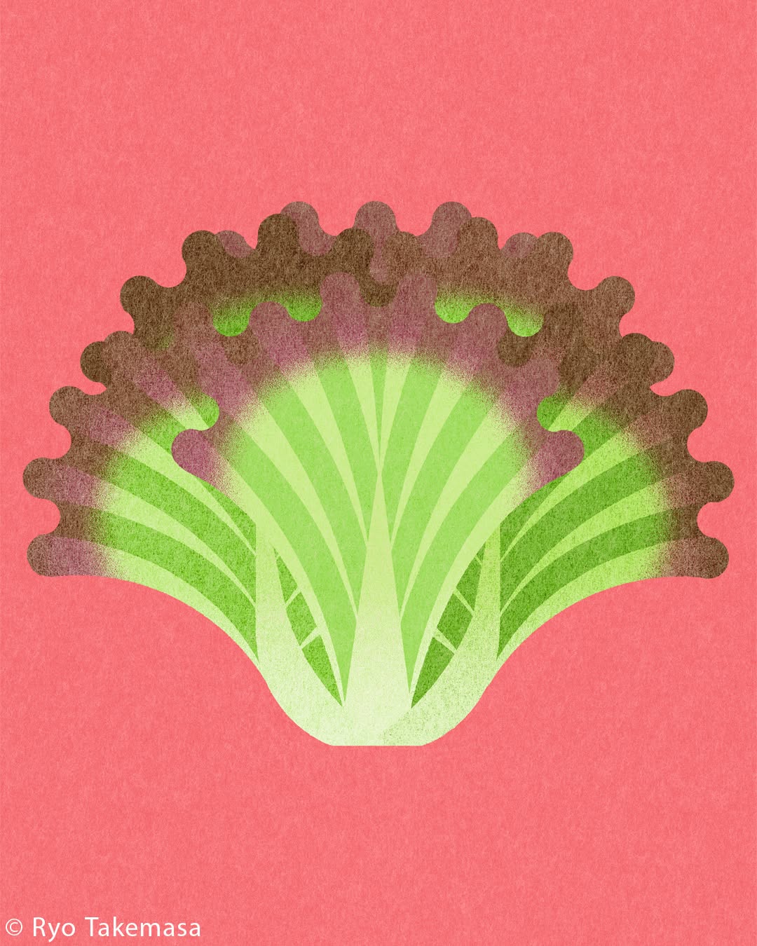 Vegetables & Fruits illustration 17