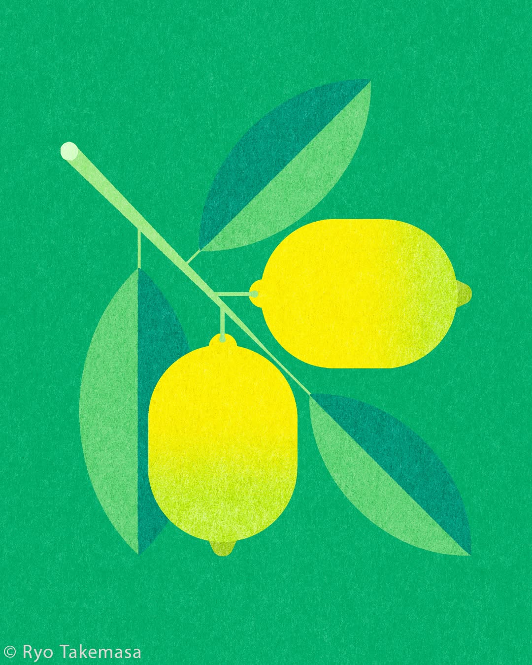 Vegetables & Fruits illustration 18