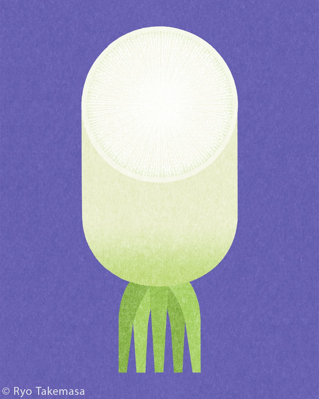 Vegetables & Fruits illustration 20