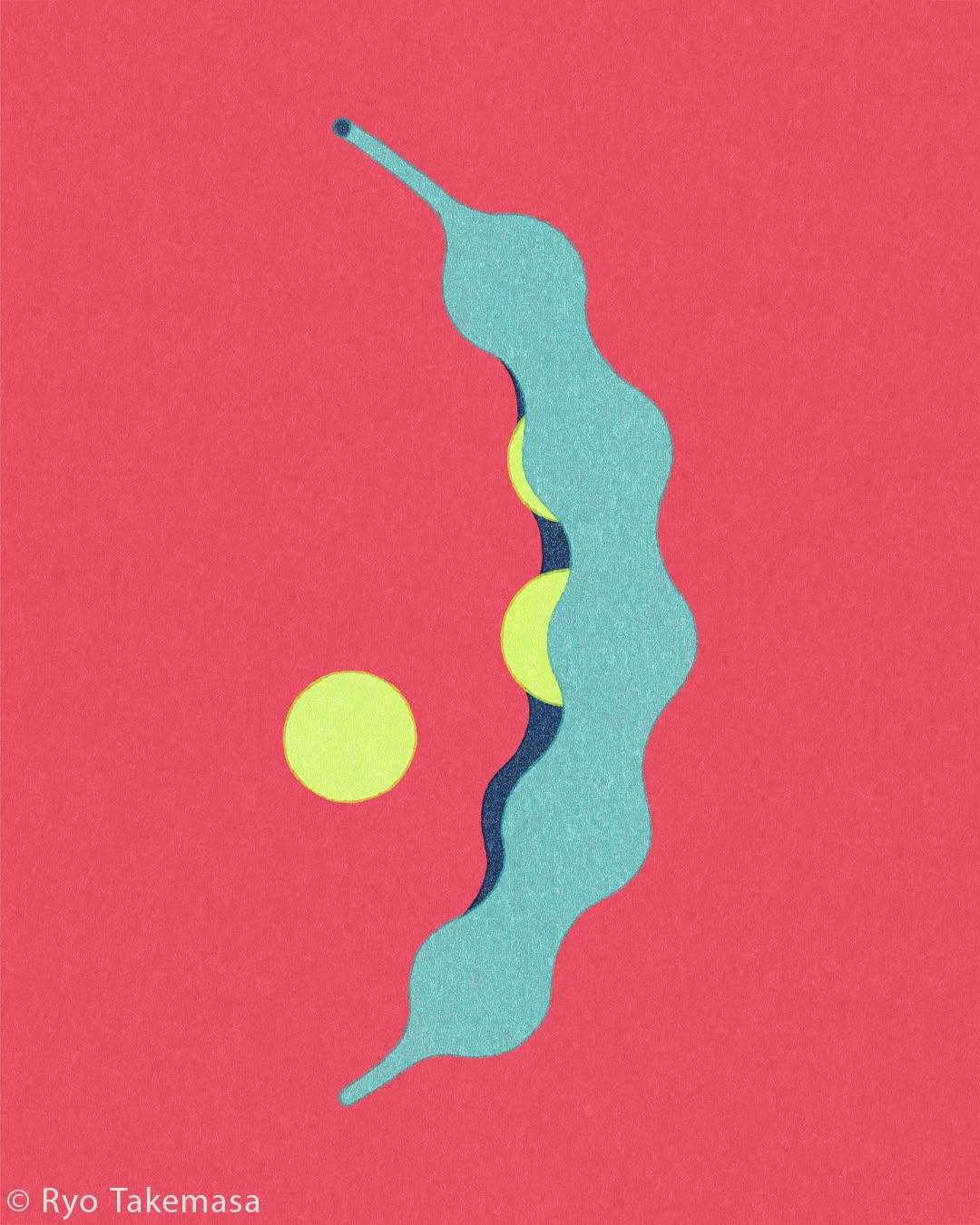 Vegetables & Fruits illustration 22