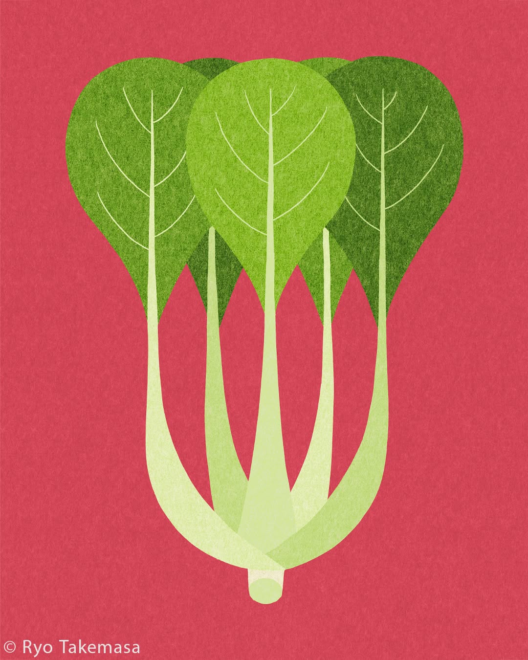 Vegetables & Fruits illustration 27